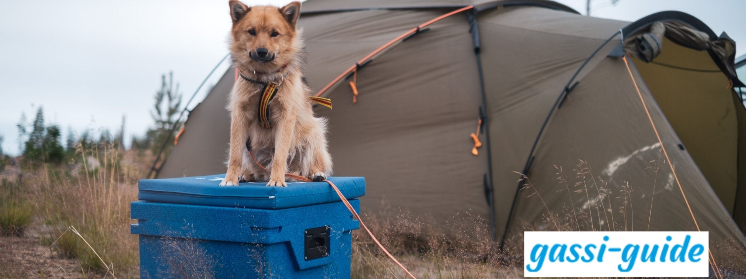 Gassi-Guide: Kalt ohne Strom - Die passive Kühlbox von QOOL