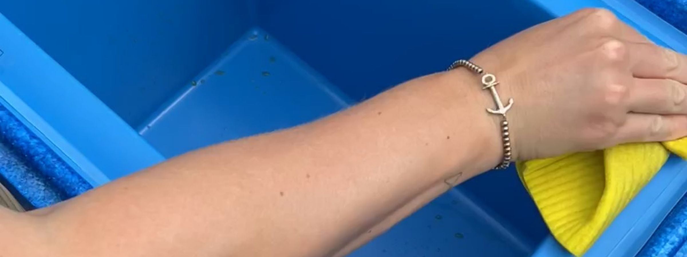 Wie reinige ich meine Kühlbox richtig?