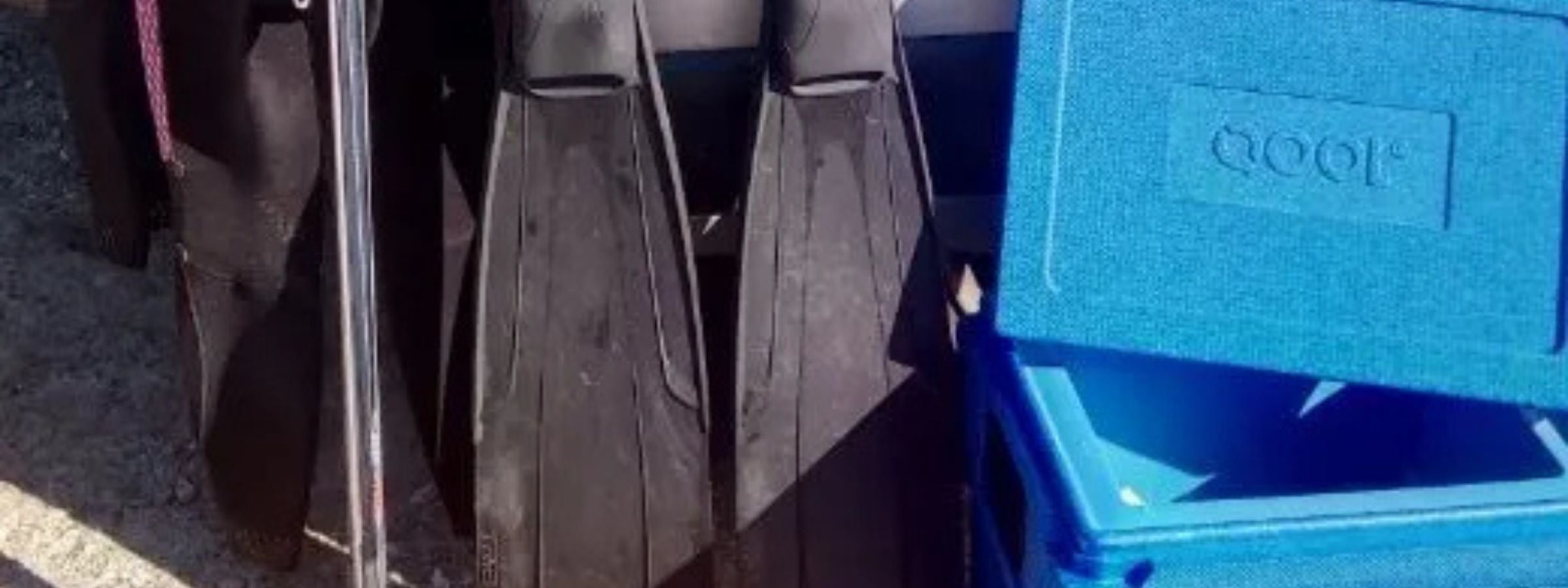 Off-Grid "Fish & Surf"-Trips entlang der Küsten Europas