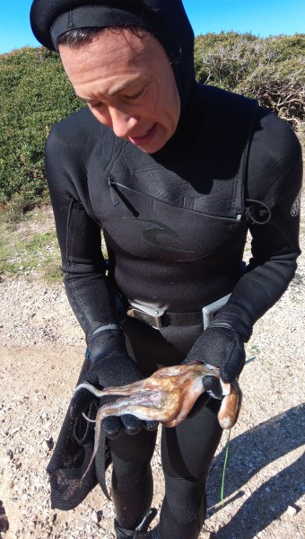 Day11-first-catches-1-3kg-of-Octopus_600x600